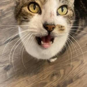 Meet your Posher, Kerrin